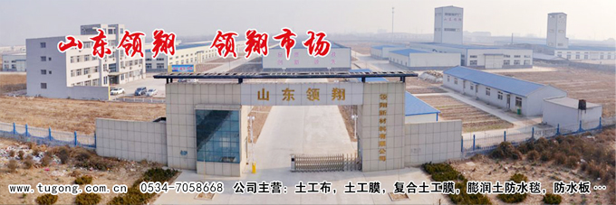 山东领翔新材料有限公司厂貌