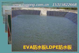 EVA防水板LDPE防水板